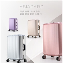 亚洲豹箱包88031-20银白